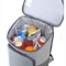 Охладитель рюкзака большой емкости 30 консервных банок изолированный легковесом для пикников
